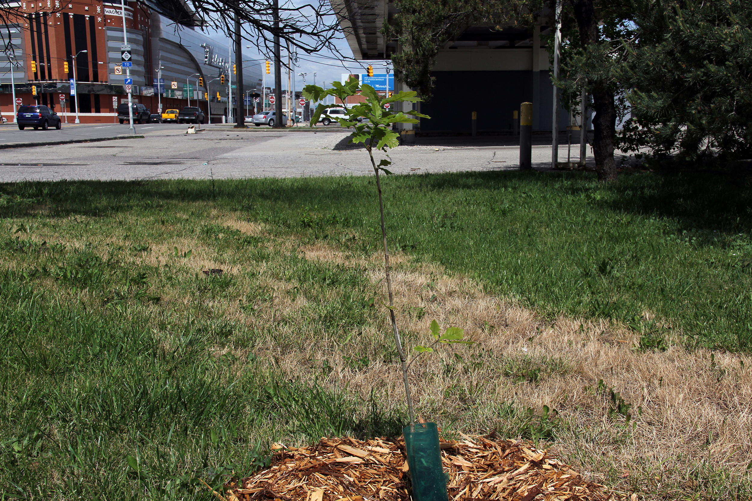 throw stones at glass houses - image 1